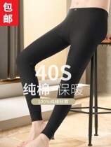 Minimalist mens autumn pants pure cotton slim fit inner wearing tight fit pants warm and high play full cotton wool pants autumn winter youth