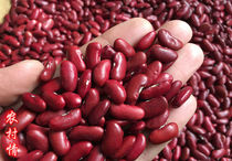 Rural situation 2021 new farmers grow red kidney beans red kidney beans red kidney beans red flower beans bean paste porridge grains 500 grams