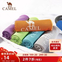 Camel professional sports towel sweat-absorbing quick-drying towel gym men's and women's ice towel quick-drying yoga ice towel blanket