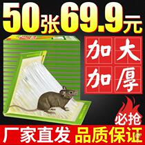 Sticky mouse board sticky mouse glue household strong plus bait sticky kill rat trap artifact increase and thick package