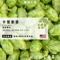 Caristhorpe hops Calypso home brewed beer imported pellet hops craft raw material hops boutique
