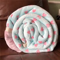 Leakage Foreign Trade single autumn and winter fever single quilt double-sided velvet is warm suede quilt cute