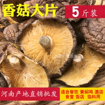 Lentinus mushrooms large fillings canteen special shiitake mushrooms bulk mushroom large pieces 2500g Henan specialty