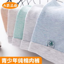 High school students Datong boys teenagers breathable pure cotton underwear mens developmental boxer shorts boxer shorts head
