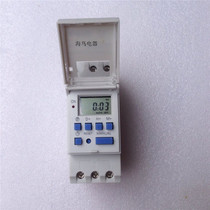 Export foreign trade rail type export timer English time control switch 220V power supply