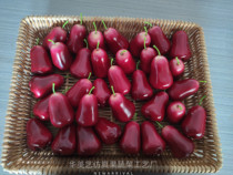 Factory direct sales simulation fruit model supermarket fruit shop window decoration display fake imported fruit lotus mist props