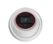 Haikang visee an of smart cameras-NP-V1W fire detection camera 4 million pixels