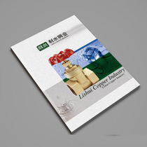 Digital printing) fast printing) color printing) sample) brochure) conference handout