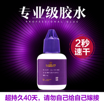 Lan Lin grafted eyelash seed eyelash glue super sticky lasting instant dry quick-drying hypoallergenic
