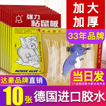 Dahao sticky mouse board strong sticky mouse paste glue home medicine increase thickened mouse catching artifact sticky board 10 sheets
