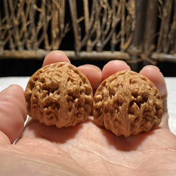 三角白狮子头-三角白狮子头促销价格、三角白狮子头品牌- 淘宝
