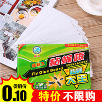 Strong fly stickers Classic whiteboard 10000 times super sticky fly paper sticky fly paper stickers armyworm board to kill flies