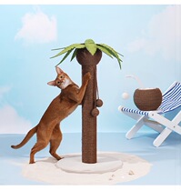 Queen zeze coconut tree cat grabbing post Siping rope cat scratching board knot solid scratch-resistant claw cat toy ball amused