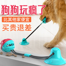 Dog toy suction cup pull ball large dog bite-resistant grinding teeth relief artifact border grazing golden retriever dog bite pet supplies