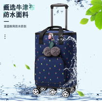 Portable shopping carts cloth bag trailers household large-capacity portable female insulation shopping bags light carts