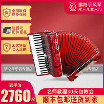 Parrot brand accordion musical instrument 120 96 60 bass three or four rows of spring beginners test practice special piano
