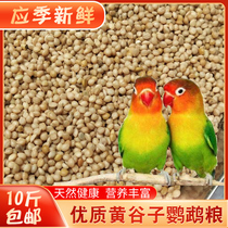New yellow millet with Shell millet tiger skin peony Xuanfeng small and medium-sized parrot bird bird food bird feed 10kg