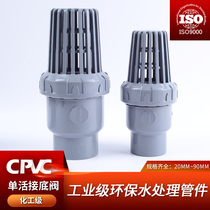 CPVC bottom valve ball plastic pump flower basket head check valve filter valve one-way check valve water pipe valve