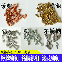  GB827 Copper nameplate rivets 304 stainless steel signs knurled rivets Iron brass signs semicircular head aluminum rivets