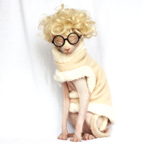 Super thick winter thick padded jacket hairless cat clothes pet clothes Sphinx hairless cat Denis