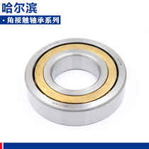 Harbin HRB bearing 7207 7208 7209 7210 7211 7212 7213 7214 7215ACM
