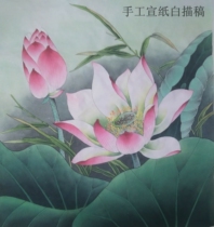 Chinese painting basic Gongbi painting introductory sketch Lotus 02 background white sketch Pure hand hook rice paper bag teaching can be directly colored