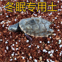 Three-in-one coconut soil turtle hibernating soil vermiculite perlite semi-water turtle hibernation supplies Brazilian tortoise hibernation sand
