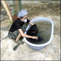 Increase and deepen the bath tub large dog skin disease medicine tub German shepherd bath big dog bath