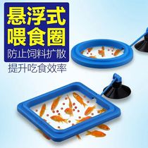 Crazy stone fish tank feeder aquarium feeding ring small fish tank feeding aquarium feeding ring