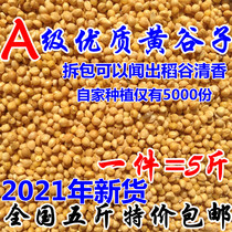 New yellow millet with Shell millet tiger skin peony Xuanfeng small and medium-sized parrot bird bird food bird feed 5kg