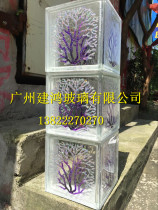 Large straight corner brick painted brick fortune tree glass brick toilet corner special living room partition