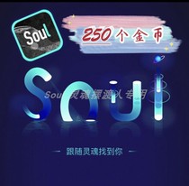 soul coin gold coin 250 coins quick to photograph contact customer service customization