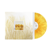 Genuine spot Pu Shu album I went to 2000 LP vinyl record splash color glue yellow glue