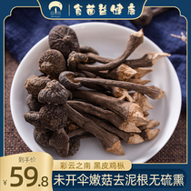 Bacterial chicken fir fungus 250g Yunnan specialty edible fungus chicken fir fungus dry soup material