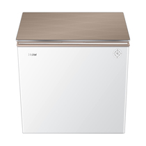 Haier single temperature refrigeration up to -40℃ low frost smart freezer BC BD-100HEGW