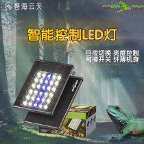  REPTIZOO controllable light LED lamps guarding the palace small ecological box horned frog nocturnal climbing PET LED
