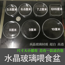 Crystal shrimp feeding basin glass fish tank ornamental pet shrimp feeder shrimp grain tray feed basin food tray