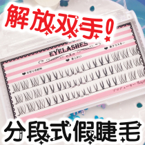 Xuelina false eyelashes female natural simulation V-type eyelashes eyelashes eyelashes single cluster segment c03