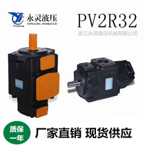 PV2R32-116-94F YLC Xianju Yongling vane pump double pump 17 26 33 41 47 53