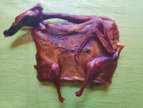 Hunan specialty semi-finished sauce duck dry whole duck duck embryo with double legs sauce duck 10 servings