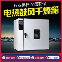 Electric constant temperature blast drying oven Laboratory industrial drying oven Traditional Chinese medicine dryer Small oven constant temperature oven