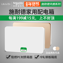 Schneider power distribution strong electric box concealed 12 16 20 24 36-bit circuit air switch household branch wire cloth box