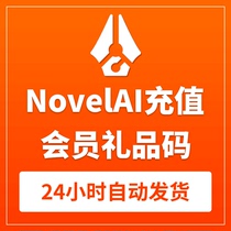 NovelAI Member Recharge NovelAI Gift Code Registration AI Painting Gift Key NovelAI Recharge