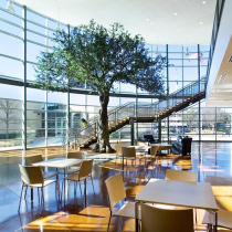 Simulation of large olive tree fake tree can be customized Nordic style green plant decoration hotel indoor living room potted ornaments