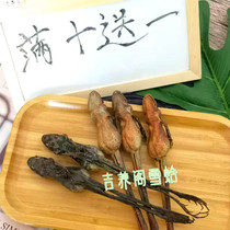 Changbai Mountain forest frog dry whole big dry forest frog oil snow clam toad dry toad oil snow clam oil 15 grams 10 sticks