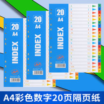 Classification paper Color digital 20-page index paper PP plastic spacer paper 11 holes A4 classification page paging paper