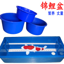 Koi fish Blue Basin fishing ground turnover temporary pot special competition display basin measurement basin competition basin super-resistant