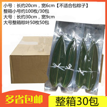 Japanese sushi cooking small bamboo leaves 100 bags fresh small dumplings leaves high-grade plate 30 bags of boxes 