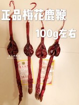 Jilin sika deer pruning deer whip dry deer whip whole deer whip wine with identification certificate whole 90 grams