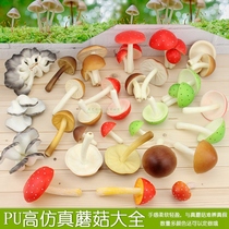 Simulation mushroom model play house PU vegetable props early education teaching aids toy oyster mushroom decoration decoration shooting set